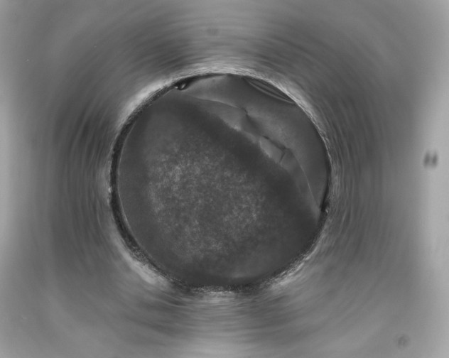 X0000091930438200709121602