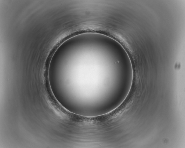 X0000091930439200709121602