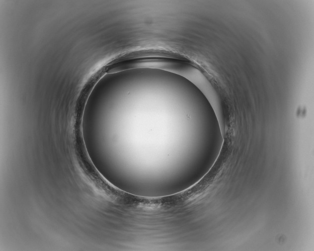 X0000091930440200709121602