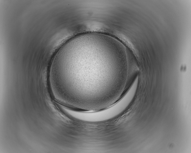 X0000091930442200709121602
