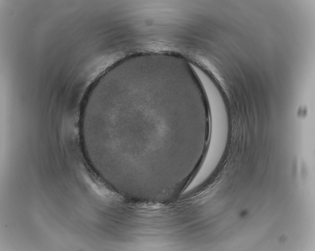 X0000091930443200709121602