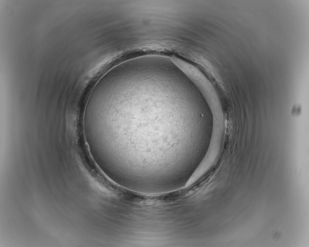 X0000091930444200709121602