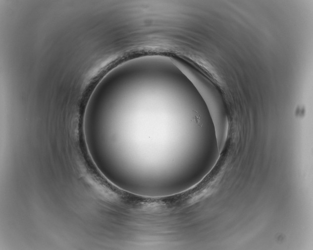 X0000091930446200709121602