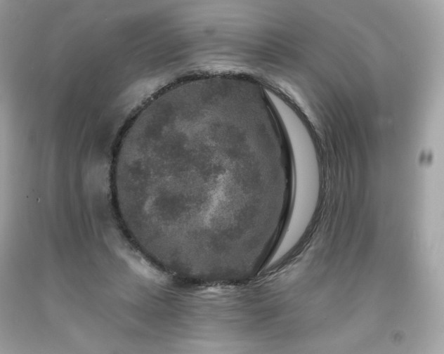 X0000091930447200709121602