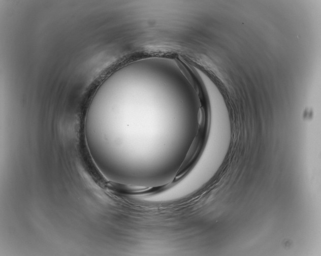X0000091930448200709121602