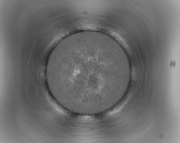 X0000091930449200709121602