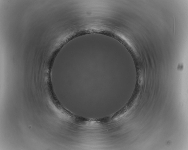 X0000091930451200709121602