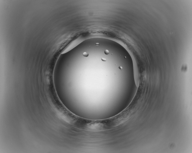 X0000091930452200709121602