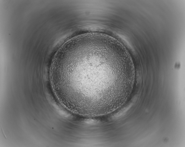 X0000091930453200709121602