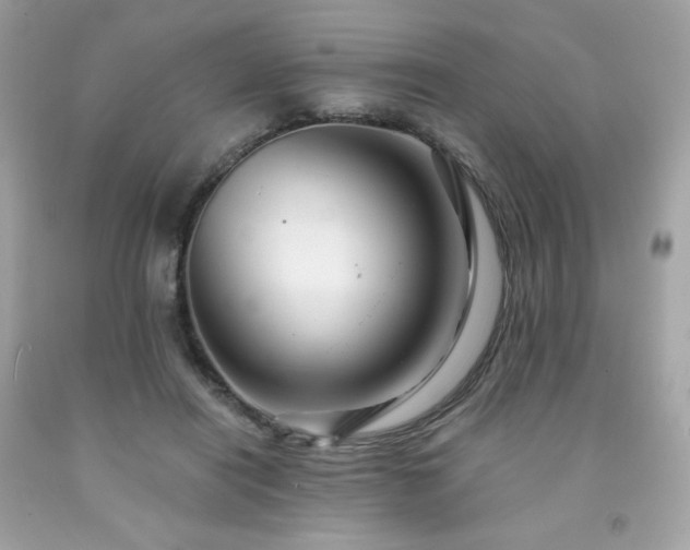 X0000091930454200709121602