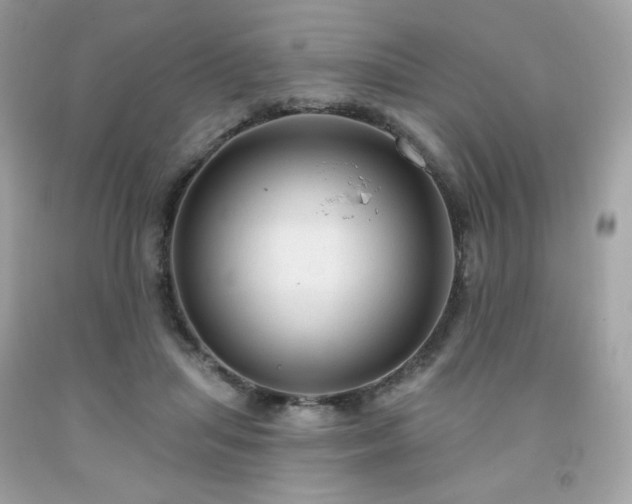 X0000091930455200709121602