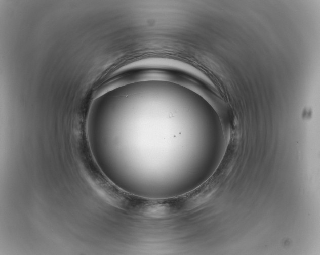X0000091930456200709121602