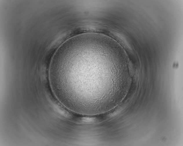 X0000091930457200709121602