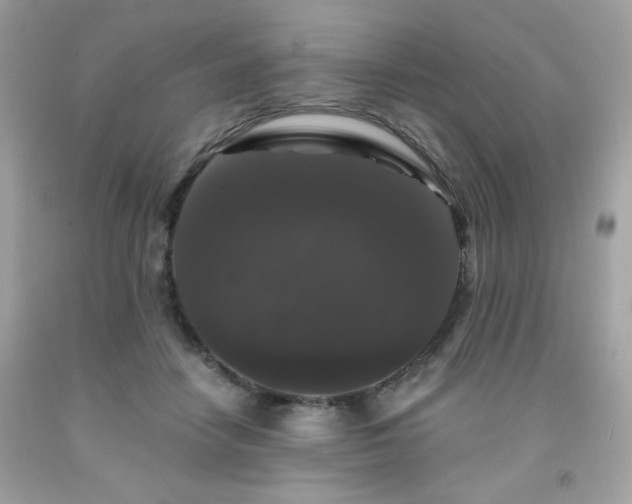 X0000091930458200709121602