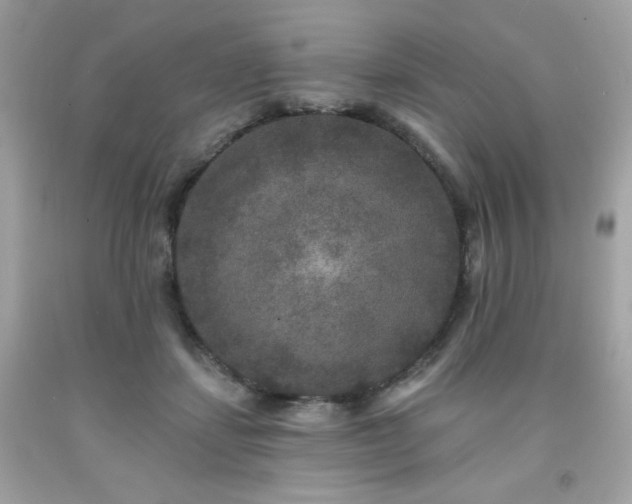 X0000091930459200709121602