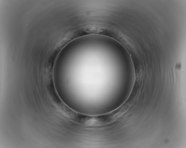 X0000091930460200709121602
