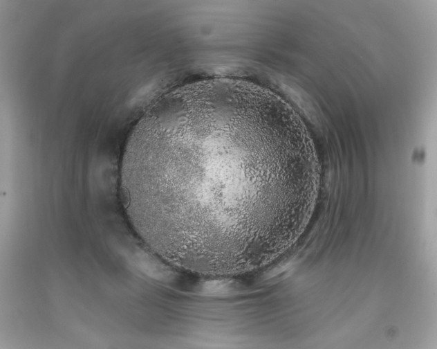 X0000091930461200709121602