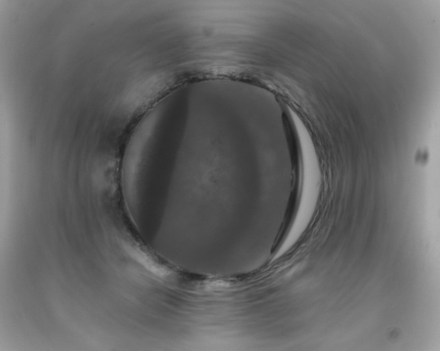X0000091930462200709121602