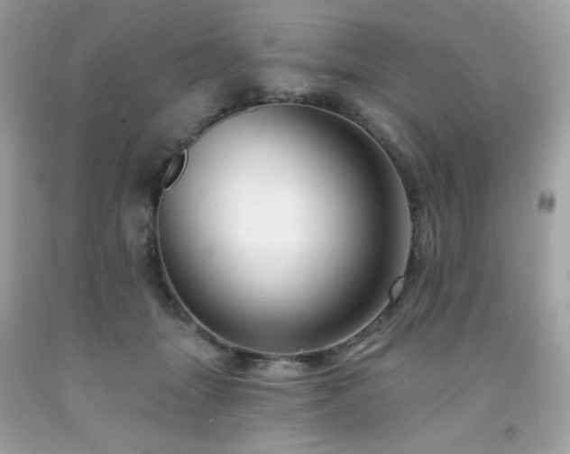 X0000091930463200709121602