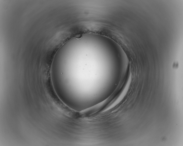 X0000091930464200709121602