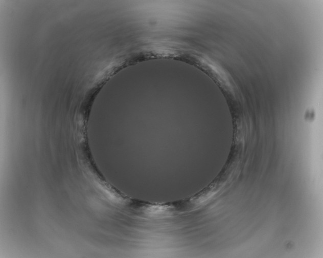X0000091930465200709121602