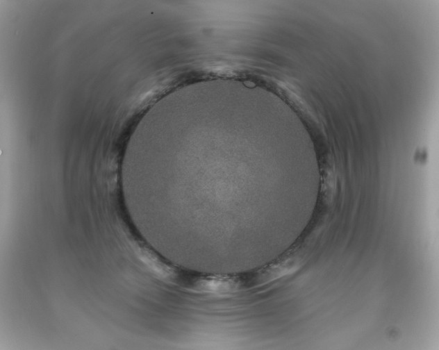 X0000091930466200709121602