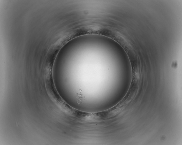 X0000091930468200709121602
