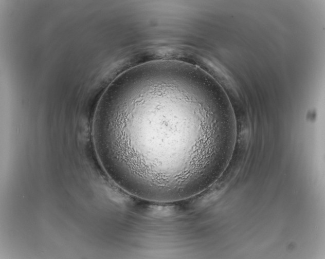 X0000091930469200709121602
