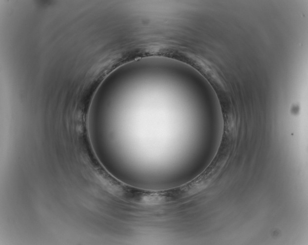 X0000091930470200709121602