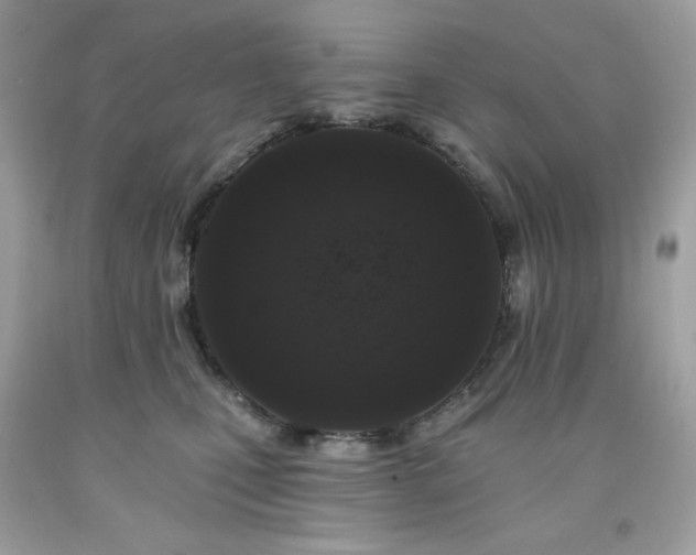 X0000091930471200709121602