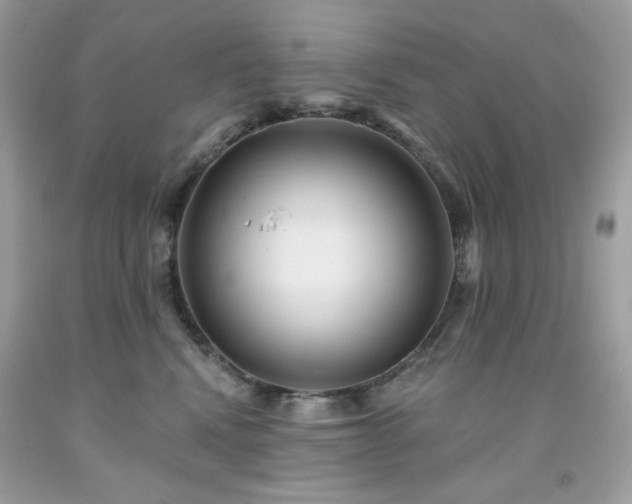 X0000091930472200709121602