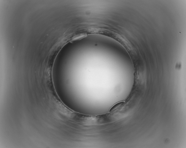 X0000091930473200709121602