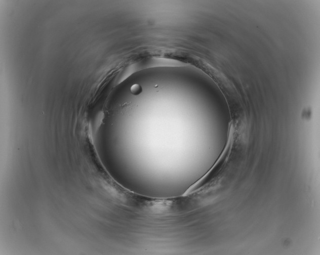 X0000091930474200709121602