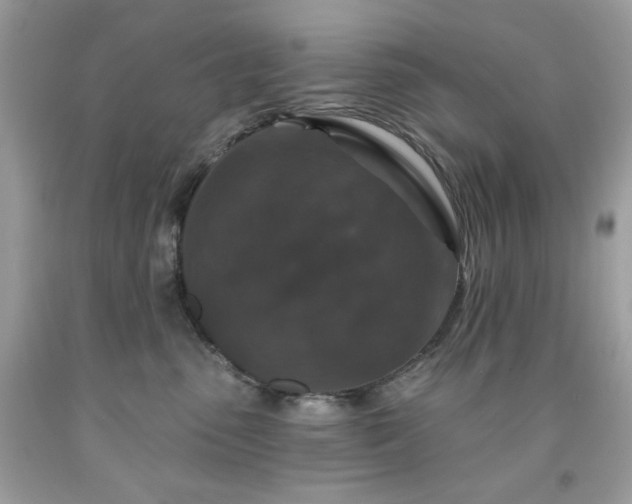 X0000091930475200709121602