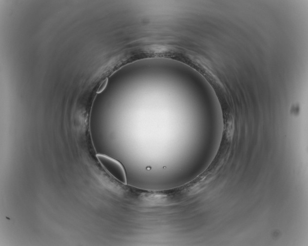 X0000091930476200709121602