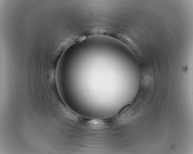X0000091930477200709121602