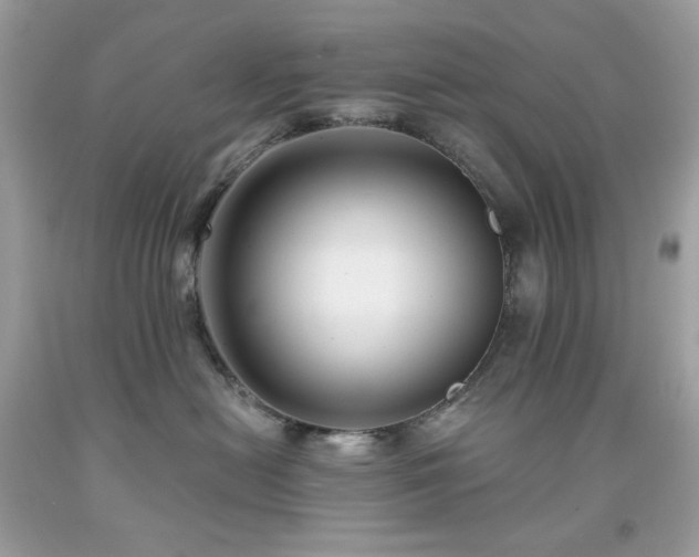 X0000091930478200709121602