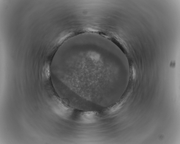 X0000091930479200709121602