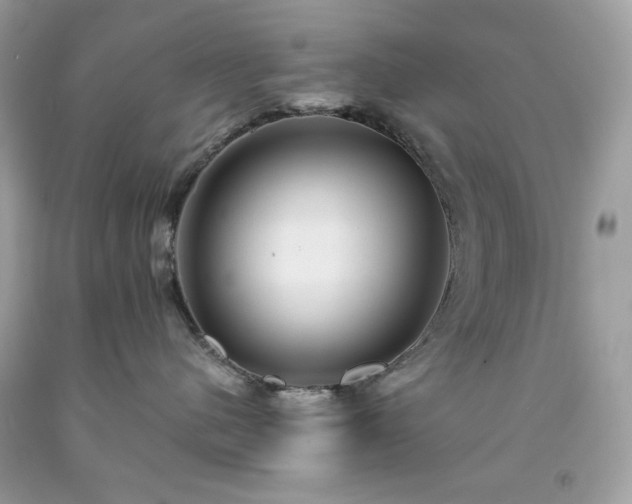 X0000091930480200709121602