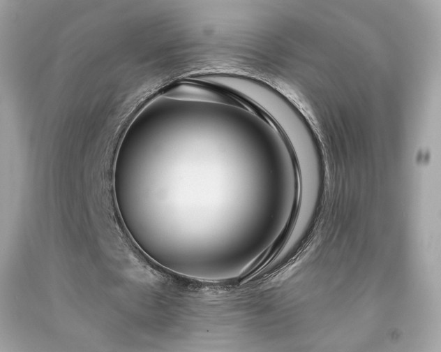 X0000091930481200709121602