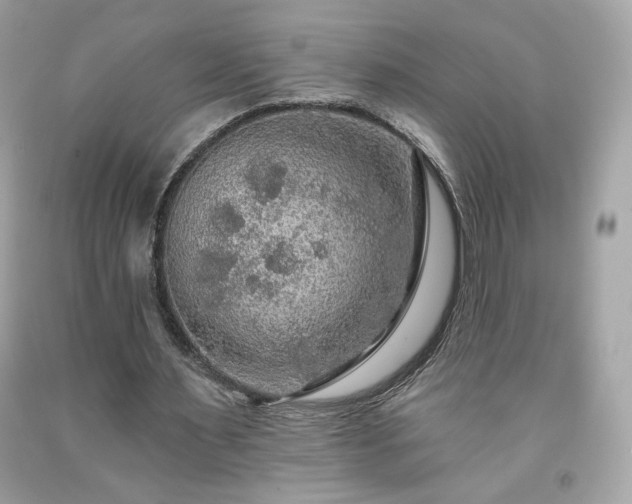 X0000091930483200709121602