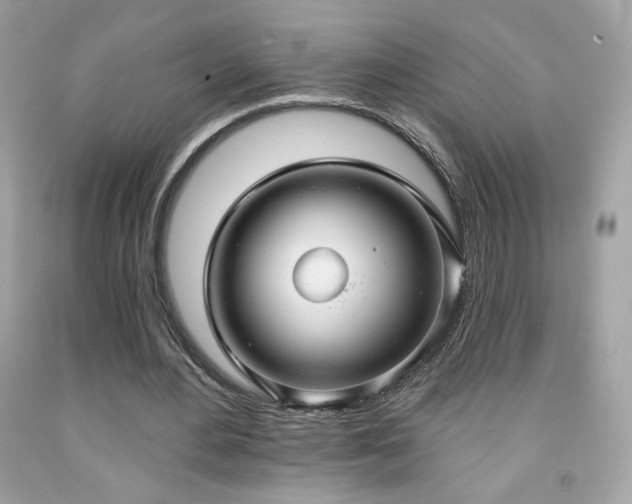 X0000091930484200709121602
