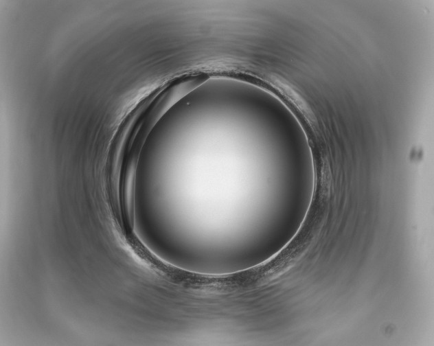 X0000091930485200709121602