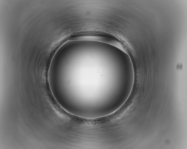 X0000091930489200709121602