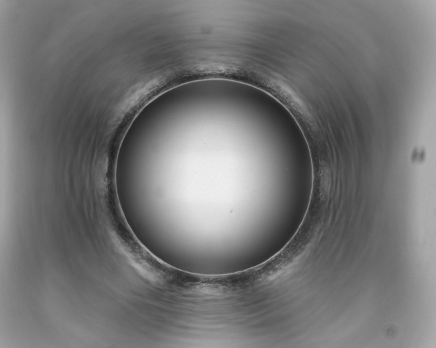 X0000091930490200709121602