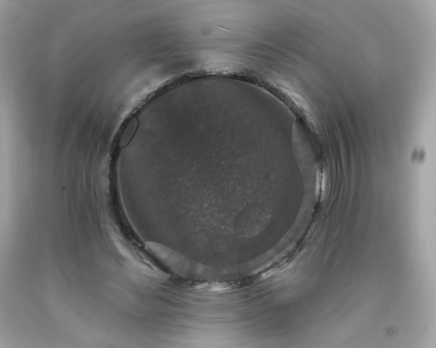 X0000091930492200709121602