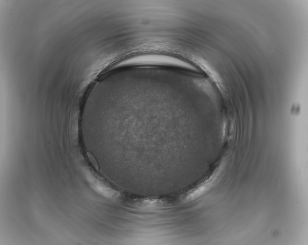 X0000091930493200709121602