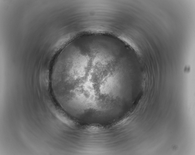 X0000091930494200709121601