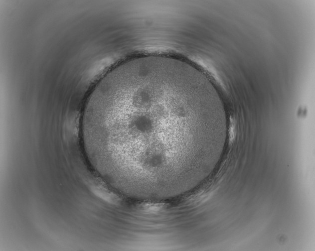 X0000091930495200709121601