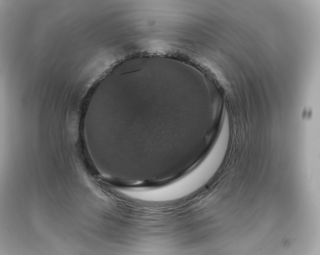 X0000091930496200709121601